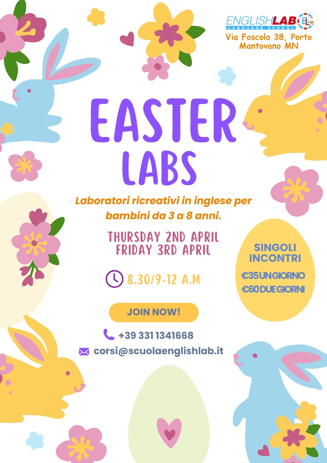 Whats App Image 2026 03 16 at 16 26 31